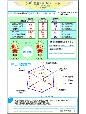 個別アドバイスシート2009（例）