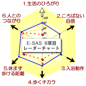 レーダーチャート